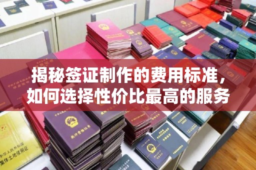 玉山揭秘签证制作的费用标准，如何选择性价比最高的服务？